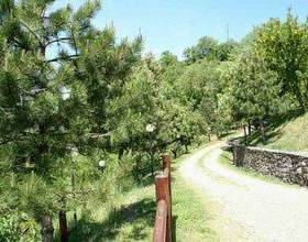 Holiday Home Frassino Subbiano  в Суббьяно