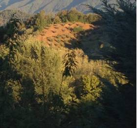 Отдых в Loving Asolo Bed and Breakfast  - Италия, Азоло