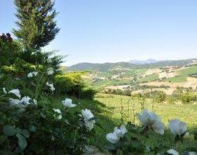 Отдых в Holiday Home Cipresso Arcevia  - Италия, Арчевиа