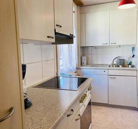 Holiday Apartment Brienzersee в Бринце