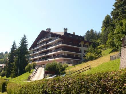 Apartment Miremont Chesieres  3* Швейцария, Шезьер