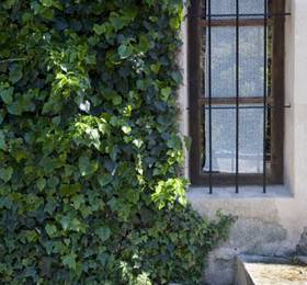 Agroturismo Vall de Pollensa  в Польенсе