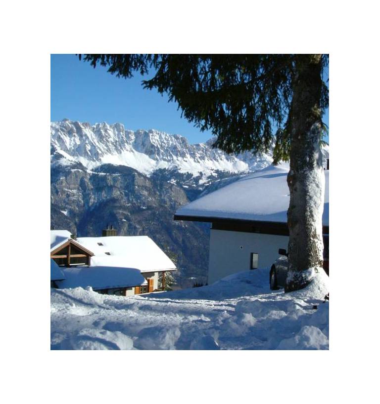 Haus Fischer, Wohnung Grest 