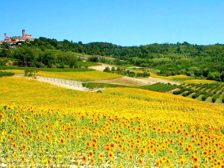 Holiday Home Glicine Camino 
