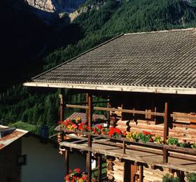 Dolomitissime Holiday Homes  в Фалькаде