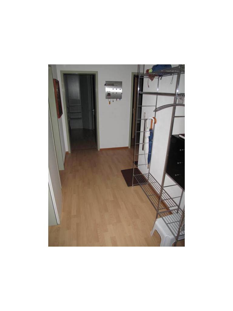 Ferienwohnung Elite Fiesch