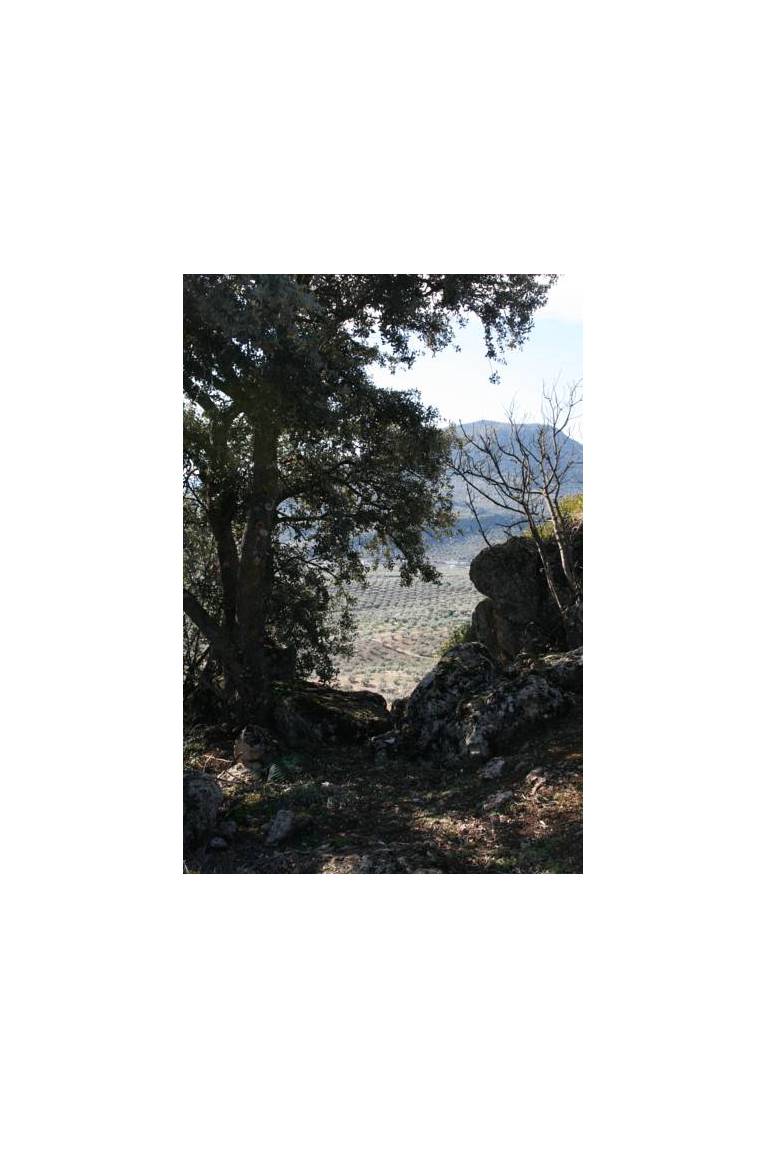 Casa Rural Montecillo Bajo 