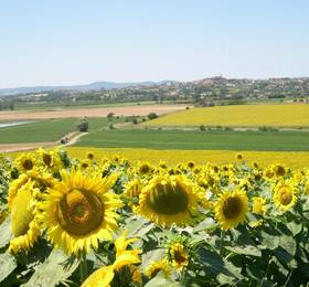 Отдых в Agriturismo San Francesco - Италия, Фояно-делла-Кьяна