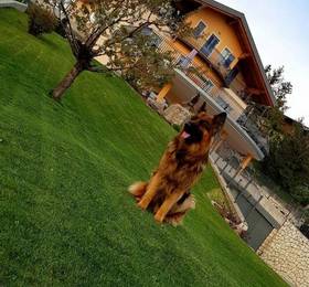 Отдых в Affittacamere Dolce Sogno  - Италия, Коредо