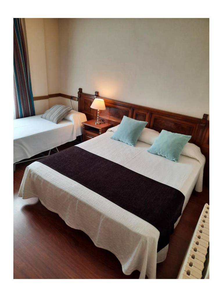 Hotel Edelweiss Camprodon 