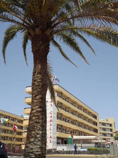 Apartamentos Las Camelias  2* Испания, Плая-дель-Инглес