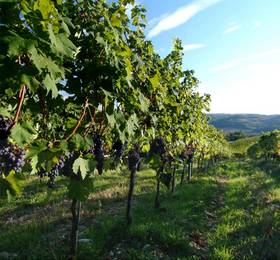 Туры в Il Borghetto Country Inn в Италии