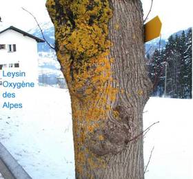 Туры в Leysin Peaks Appartement  в Швейцарии