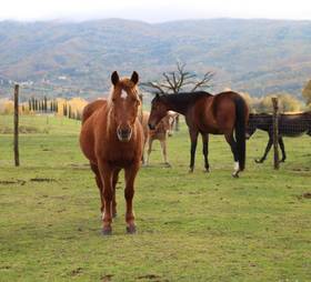 Туры в Agriturismo La Colombaia  в Италии