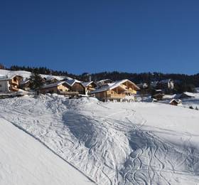 Chalet La Flu Apartments в Корвара-ин-Бадие