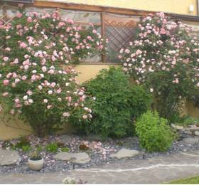 Отдых в Il Giardino Degli Angeli - Италия, Фрамура