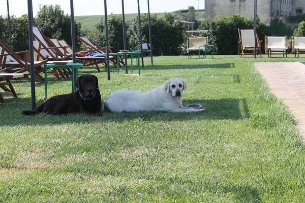 Agriturismo Il Belvedere Италия, Кастильон-Фьорентино