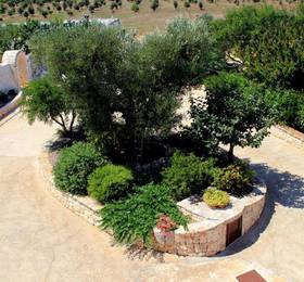 Отдых в B B Masseria Peppeturro - Италия, Чистернино