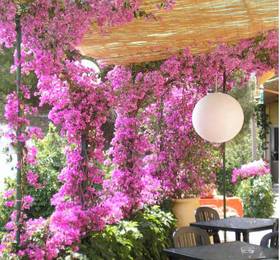 Отдых в Hotel Locanda Dei Fiori  - Италия, Лайгуэлья