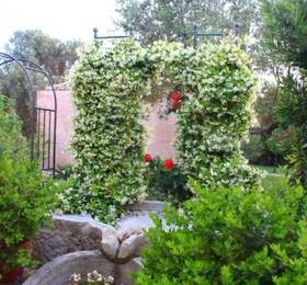 Туры в Villa Immacolatella B&B  в Италии