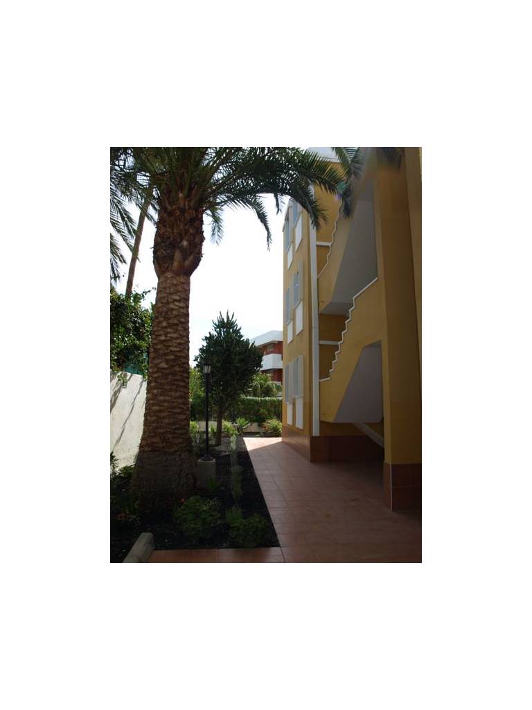 Apartamentos Las Dalias 