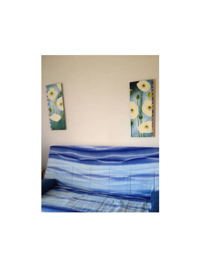Apartamentos Roca Verde 
