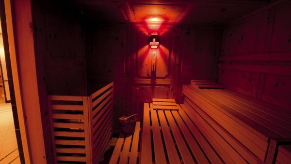 Sporthotel Wildstrubel 3* Швейцария, Ленк