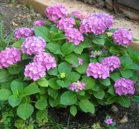 Holiday Home Eolo Leni  в Лени