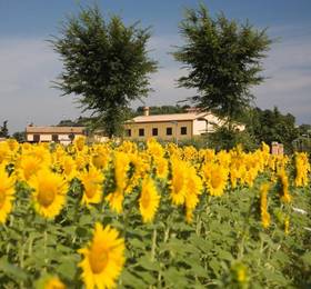 Туры в Le Fiabe Country House  в Италии
