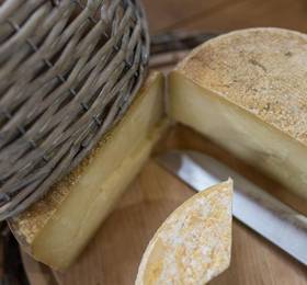 Agriturismo Le Baccane в Винчи