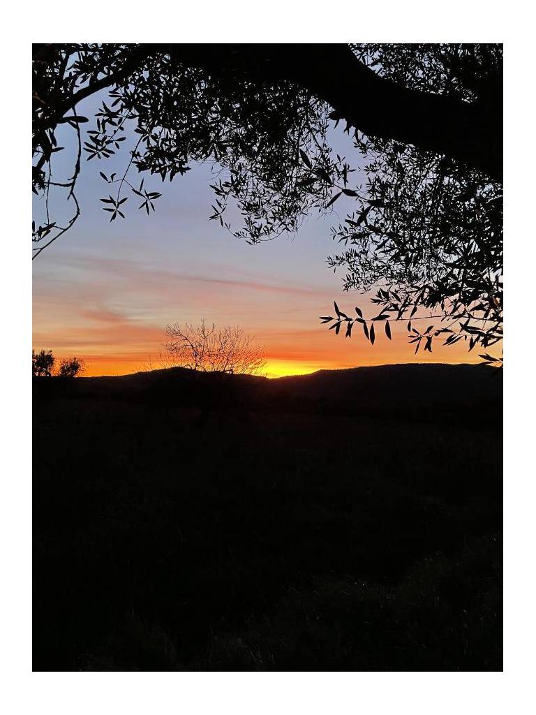 Agriturismo Pietramora 