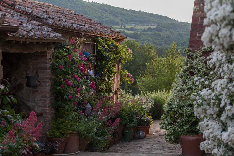 Follonico 4-Suite B&B 