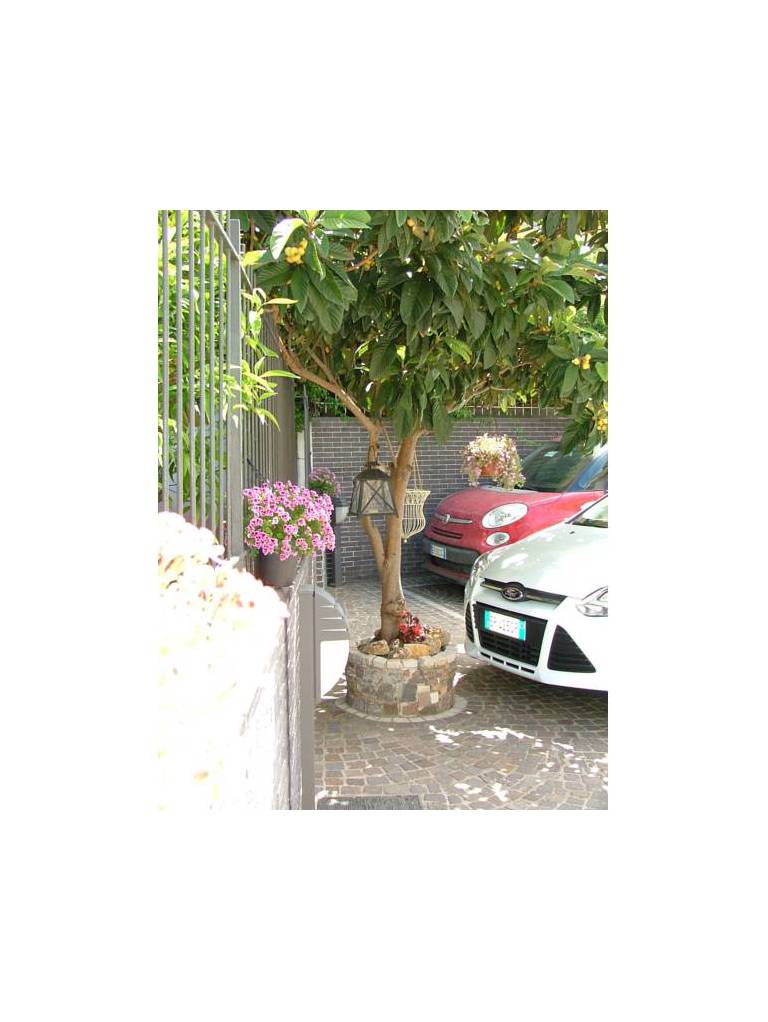 B&B La Casa Di Plinio 