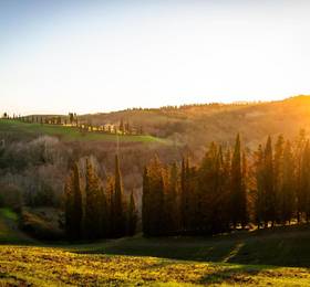 Отдых в Agriturismo il Poggio - Италия, Монтайоне