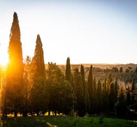 Туры в Agriturismo il Poggio в Италии