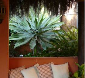 B&B Casa las Palmeras  в Марбелье