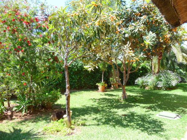 B&B Casa las Palmeras 