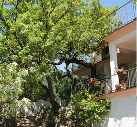 B&B La Casa Del Gelso  в Маратее