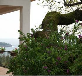 Отдых в B&B La Casa Del Gelso  - Италия, Маратея