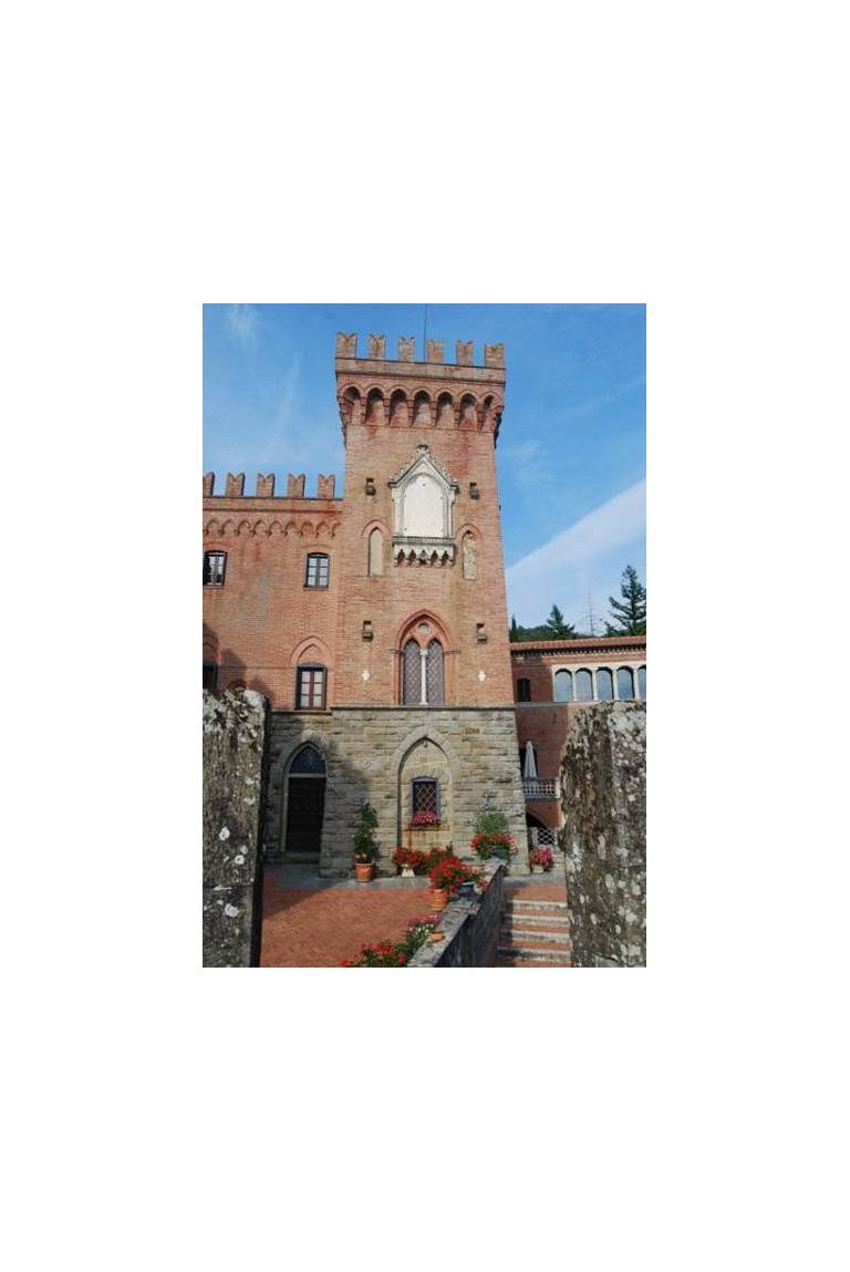 Castello Di Valenzano 