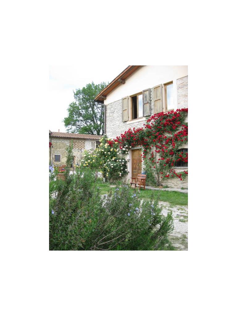 Agriturismo Sanvitale 
