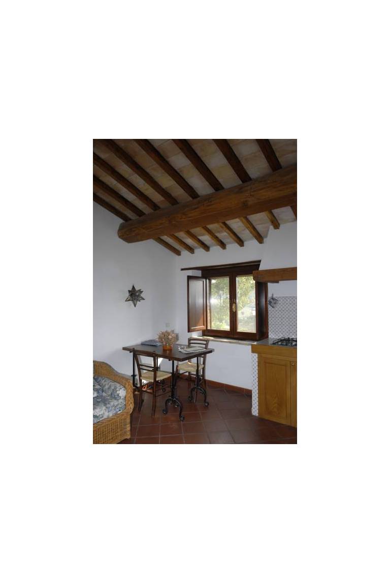 Podere Monte Petreto 