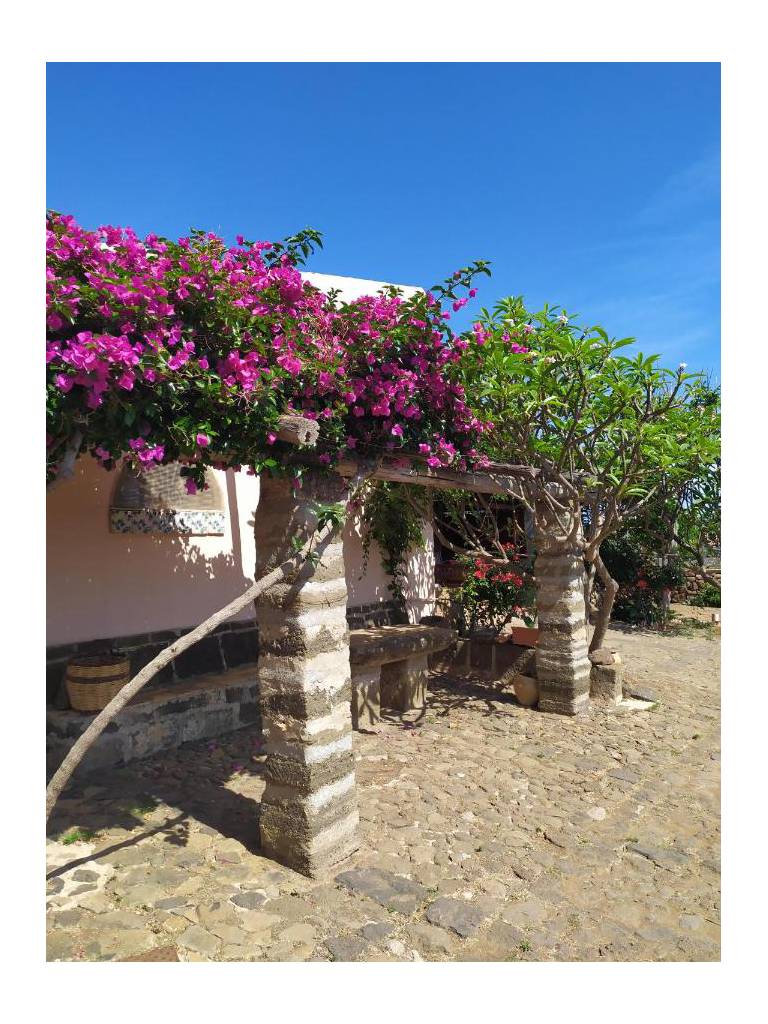 Agriturismo Hibiscus 