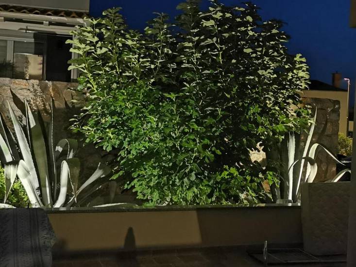 Apartments Mara Cres  4* Хорватия, Црес