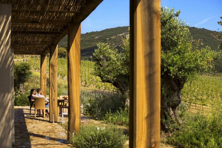 Tenuta Delle Ripalte 