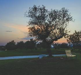 Отдых в Agriturismo Contessi  - Италия, Сан-Даниэле-дель-Фриули