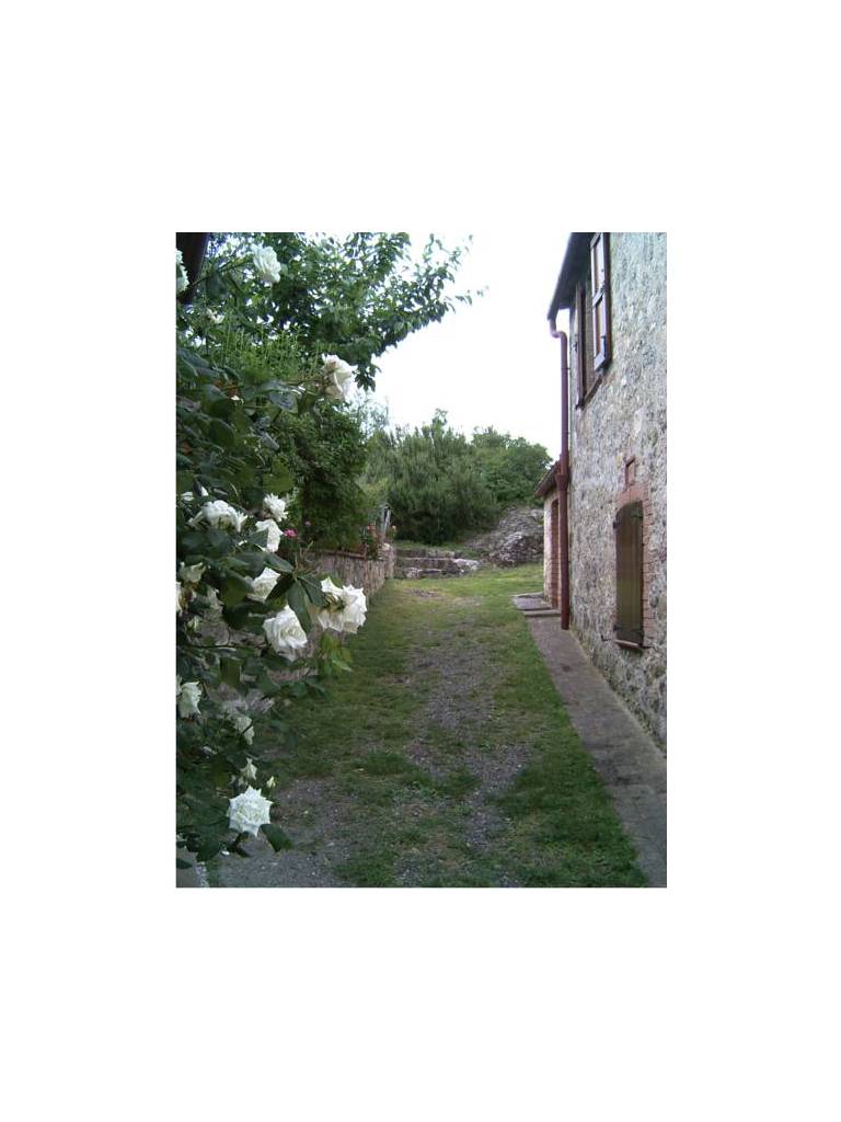 Agriturismo Olivello 