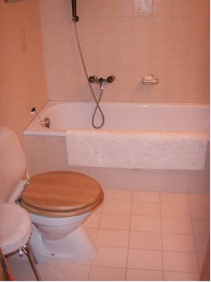 Apartment Capricorne  3* Швейцария, Анзер