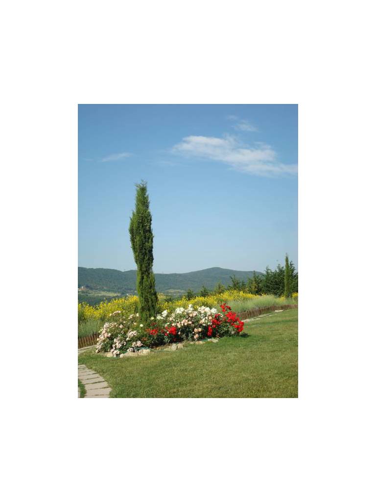 Aquaviva Hotel & Spa 
