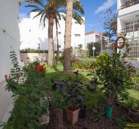 Отдых в Apartamentos Guatiza  - Испания, Плая-дель-Инглес